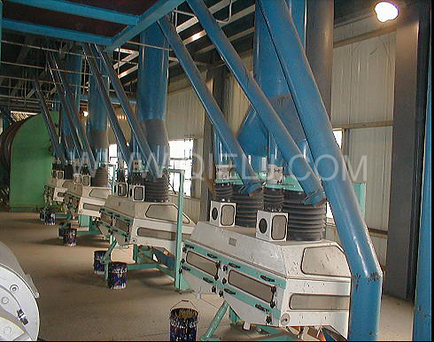 大豆预处理(图3) 大豆预处理(图3)