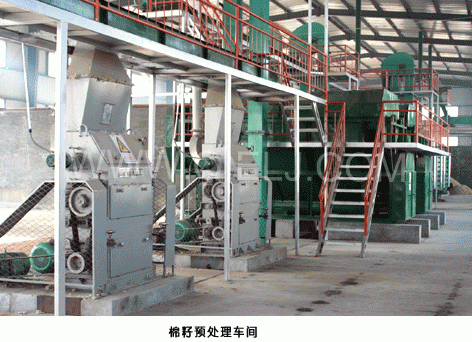 棉籽处理设备，成套预处理浸出生产线加工设备(图2)