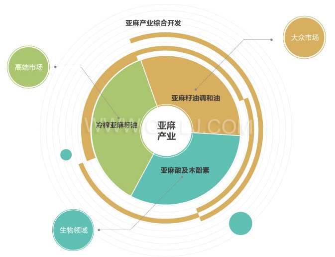 低温冷榨亚麻籽油设备 开亚麻籽油厂 胡麻籽油精炼成套设备(图6)