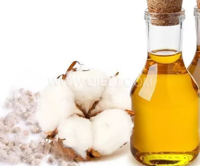 棉籽油精炼设备，充分脱离棉酚生产健康营养油(图2)